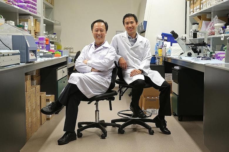 Associate Professors Lim (left) and Loo are working on a pill containing the cocktail of drugs used to treat Parkinson's disease which can release the medication slowly over a 24-hour period.