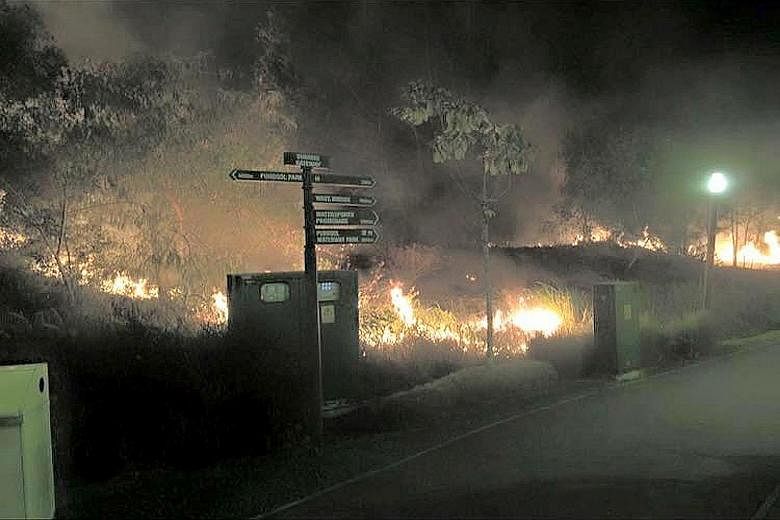 The police were alerted at about 10.50pm last Saturday to a fire which broke out along Punggol Waterway Park. Five suspects aged between 14 and 20 have been arrested.