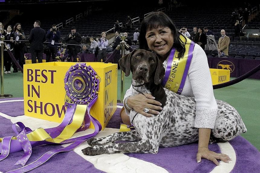 German shorthaired pointer CJ posing with owner Valerie Nunes-Atkinson after winning "Best in Show" at the 140th Westminster Kennel Club dog show in New York City's Madison Square Garden on Tuesday. CJ, short for California Journey, beat more than 2,