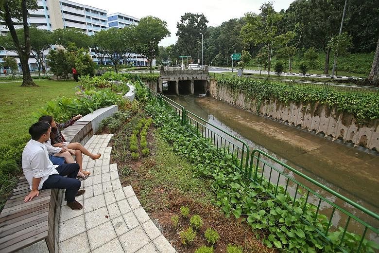 Plants, timber seats and rain gardens have been added to a section of the canal edge along Bukit Batok West Avenues 2 and 4.