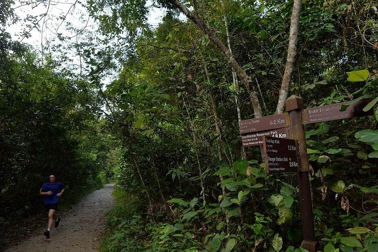 Having the Cross Island Line cut through the Central Catchment Nature Reserve involves building a 2km tunnel approximately 40m deep beneath the reserve's MacRitchie area. There would be no physical structures on the surface. Nature groups had earlier