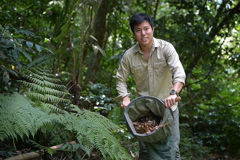 Mr Wong, who recently discovered a new ant species, is hoping to raise $3,000 via a US-based science crowdfunding website for scientific journal publication fees and to buy better equipment for his research.