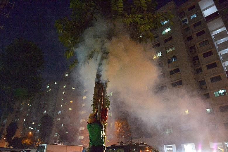 Pest management professionals fogging a tree in Yishun Street 71. The chemical causes a brief burning feeling in mynahs' faces, mouths, and throats.