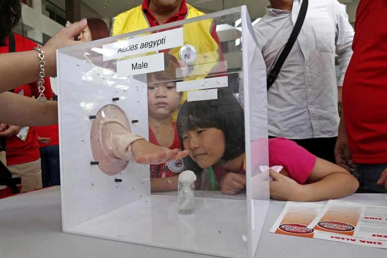 Ng Xin Yi, six, and Andrea Tay, seven, watching an experiment involving the Aedes aegypti mosquito at the Do the Mozzie Wipeout Campaign, held at Tampines West Community Club on Sunday. From March 14, a home owner will be fined $200 if mosquitoes are foun