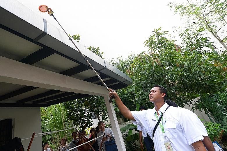 The authorities have stepped up inspections (above) and public education campaigns, and are also rolling out more traps to try and keep the mosquito population under control as Singapore could see its worst dengue outbreak this year.