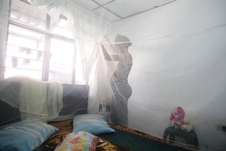 A pregnant woman installs a mosquito net over her bed in Cali, Colombia. Municipal health authorities in Cali delivered the nets to pregnant women and set up guppy fish bowls in their homes as a preventive measure against the Aedes aegypti mosquito, 