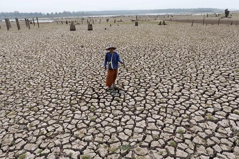 A villager standing on land that used to be a village. The village in northern Thailand's Lampang province, which had been underwater since the Mae Chang reservoir was built in 1982, has re-emerged after the water in the reservoir dried up.