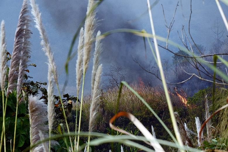 A forest fire in Chiang Rai early this month. Firefighters say it was probably started by hunters trying to ferret out wildlife.
