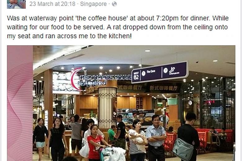 Ms Lim's post of her encounter last Wednesday has been shared on Facebook more than 100 times.