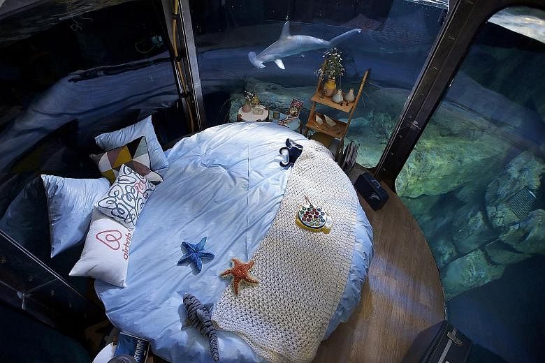 For three nights next month, winners of a competition organised by the Paris Aquarium and Airbnb get to sleep with sharks circling them.