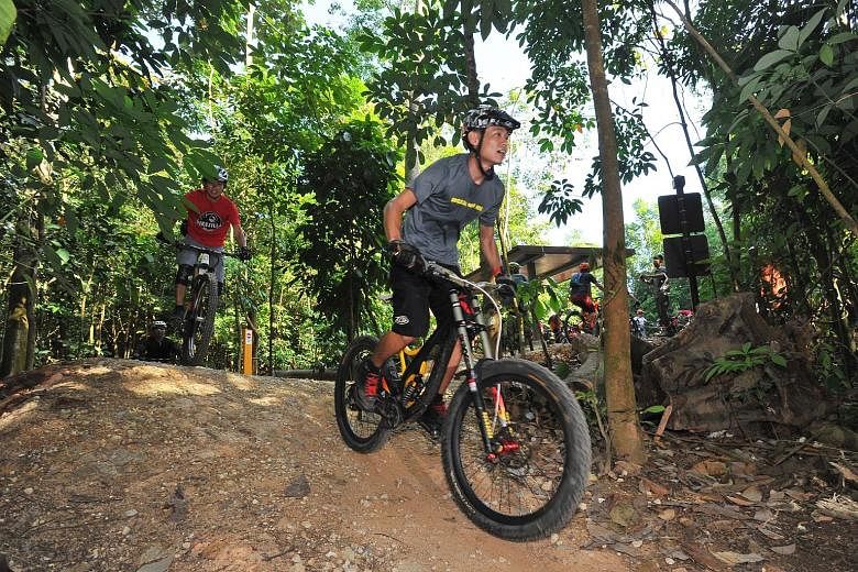More than 100 cyclists tried out the new 1.6km mountain bike trail at Chestnut Nature Park (South) yesterday, and many were pleased with the experience.