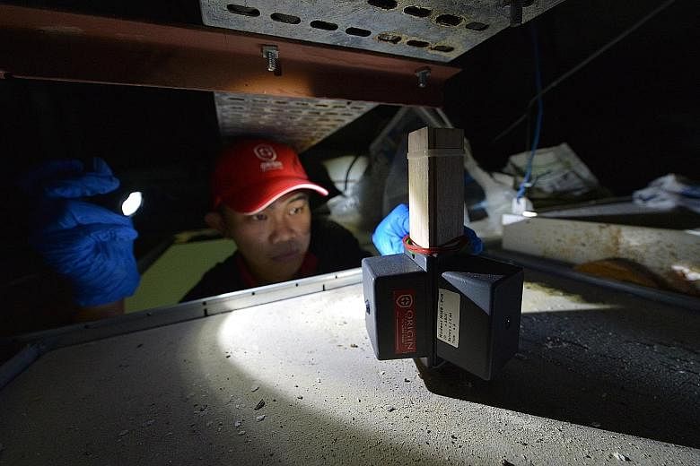 Using data to study rat movements and the rodents' colony is the way forward, experts say. Here, Mr Tan Soon Tat, customer care executive at Origin Exterminators, checks on a Ratsense system deployed in a ceiling space. The technology is designed to 