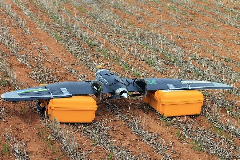 A drone on a farm in Australia. While farmers are fond of drones for covering lots of ground quickly, some have found that the drones are prone to being attacked by eagles - especially during mating season.