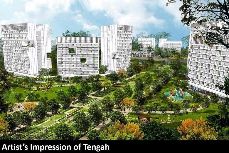 An artist's impression of the future Tengah town, which is expected to have about 55,000 homes.