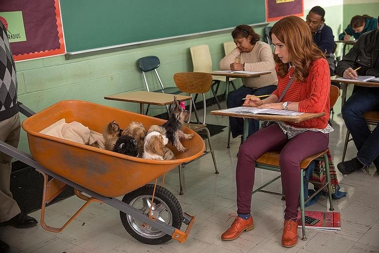 Ellie Kemper will grapple with serious life issues in the second season of Unbreakable Kimmy Schmidt.