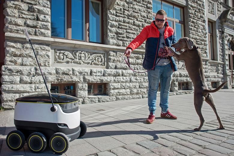 A dog reacting as a prototype self-driving parcel delivery robot, developed by Starship Technologies, travelled along a sidewalk in Tallinn, Estonia, on April 12. The electric-powered robots were developed to help short-range low-cost deliveries and ultim