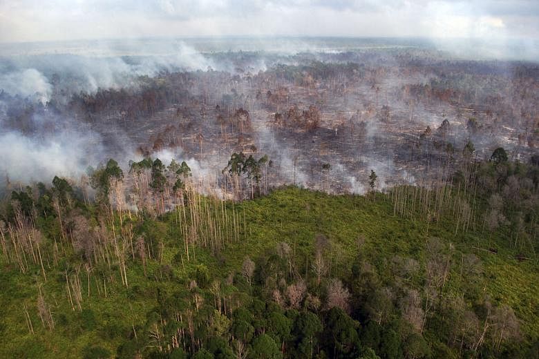 An aerial view of a forest fire near Bokor village in the Indonesian province of Riau last month. Initiatives by Indonesia, Singapore and agro-forestry firms show a growing momentum to tackle the haze issue since last year's crisis, but while buyers publi