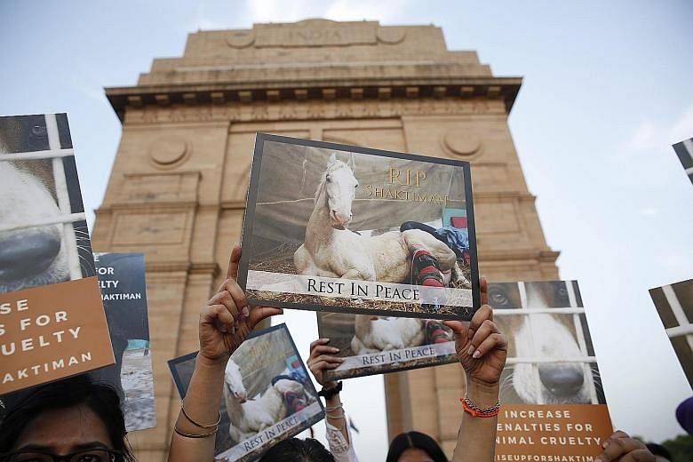 Indian activists in New Delhi holding a candlelight vigil on Thursday to pay tribute to police horse Shaktiman, which died after being injured during a political rally in Uttarakhand on March 14. The horse was allegedly attacked by a politician and i