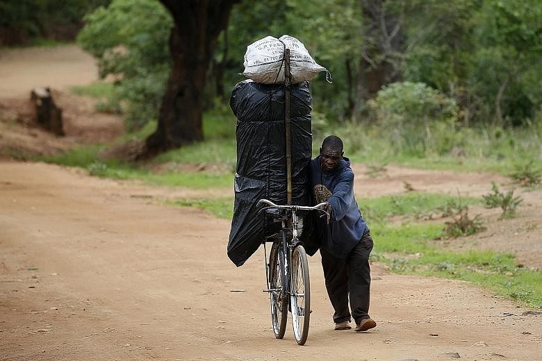 A man transporting charcoal for sale in Malawi where late rains threaten the staple maize crop. The climate-hammered farmlands in many African nations can no longer sustain the populations, so the men have scattered to the four winds in search of any