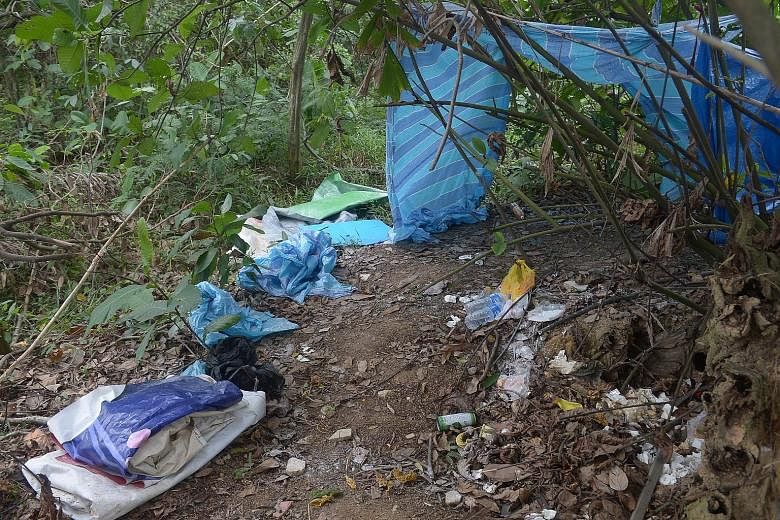 One of the clearings (left) found by The Straits Times on April 17, near the edge of the forested area overlooking Punggol Waterway Park. Women, said to be prostitutes, were seen going up the slope into the clearings at night. The area was cleared of