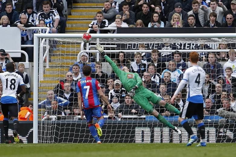 Andros Townsend (not pictured) bends a free kick he won himself into the top corner to put Newcastle ahead on 58 minutes against FA Cup finalists Crystal Palace. In front of the St James' Park home crowd, the midfielder's superb effort gave Rafa Beni