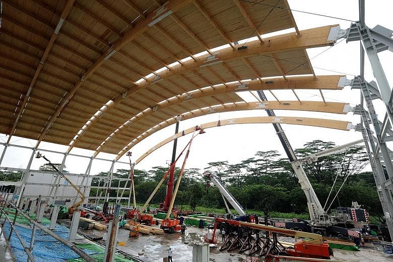 NTU's new sports hall uses glued laminated timber, or glulam, for its roof. It is lighter than steel, needs 60 times less energy to produce, and was assembled in less than a month.