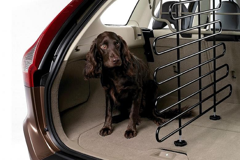 Dogs can travel safely by wearing a harness and seat belt or staying inside a crate or a dog guard (above).