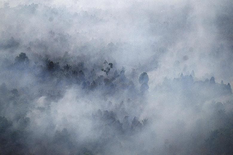 Forest fires near the village of Bokor, Riau, in March this year. NEA has given notices to six Indonesia-based companies, asking them to outline the steps they are taking to put out and prevent fires on their land.