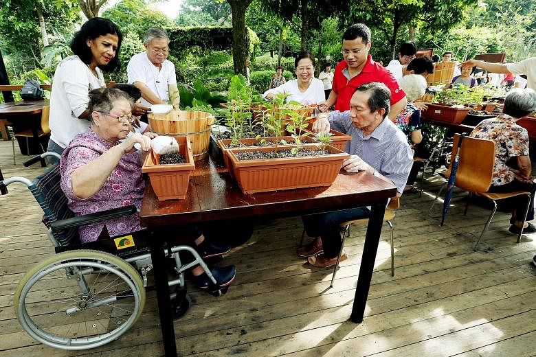 Madam Soh (left) and Mr Lim Say Phang, 61, doing some gardening at HortPark's therapeutic garden yesterday, as Alzheimer's Disease Association volunteer Kamala Samy M.L.,62, and Senior Minister of State Desmond Lee (in red) look on. Mr Lee said there