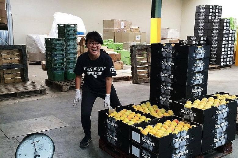 Ms Jo'di Koh packing peaches in Hawke's Bay on North Island. Through her jobs in New Zealand, she learnt more about differences in working attitudes across cultures. Ms Laurentia Yong at the Queen Charlotte Track in Picton. Taking on various odd jobs