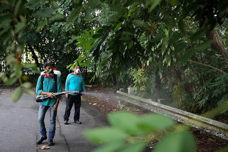 The Mozzie Wipeout campaign, community-based "dengue fighters" and a community alert system help in the fight against dengue.