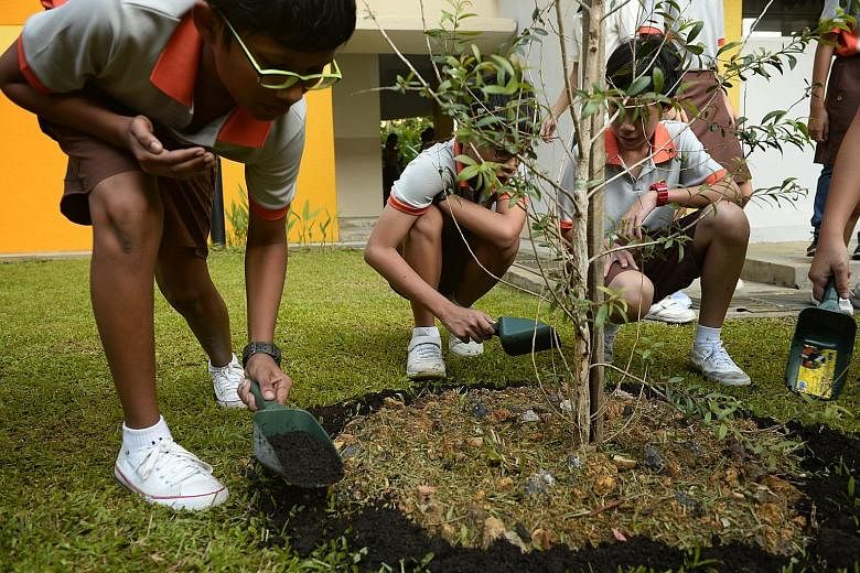 Bukit View Secondary School students (from left) Arul Praveen, Aldin Ibrahim and Jordan Chua mulching a newly planted Gelam tree with compost on Wednesday.