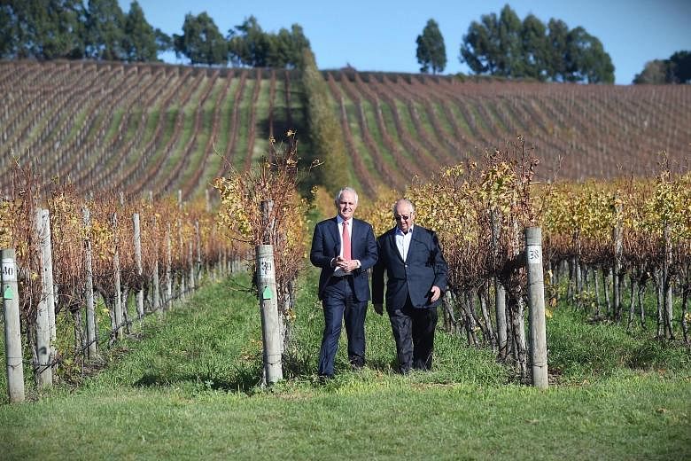 Australian Prime Minister Malcolm Turnbull (left) touring the vineyard of Mr Josef Chromy (right) in Tasmania. Mr Turnbull's approval ratings have slipped in recent polls.