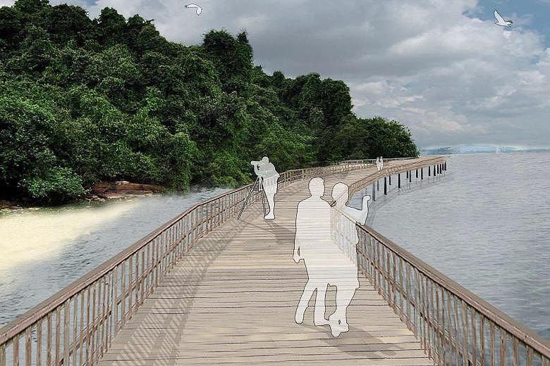 (Top) Mr Sean Lam, 47, and his son Leeuwin, nine, were among more than 100 participants who planted mangrove saplings in Pulau Ubin yesterday. (Above) An artist's impression of a coastal boardwalk of about 500m at Noordin Beach, one of the projects p