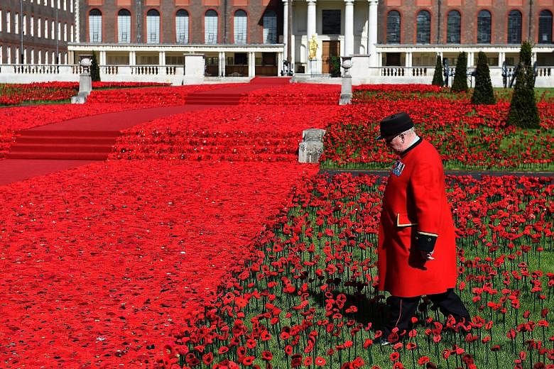 Pensioner John Back walking through a field of 5,000 cotton poppies created by artists Lynn Berry and Margaret Knight at the Chelsea Flower Show in London yesterday. This year's theme of the well-known flower show focuses on health and happiness in t