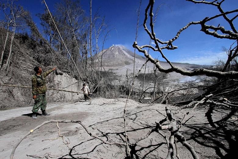 Indonesian rescuers searching for survivors in scorched villages and devastated farmlands yesterday after a volcano erupted in clouds of searing ash and gas, killing seven people and leaving others suffering life-threatening burns. Witnesses describe