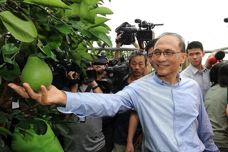 Taiwan's new Premier Lin Chuan visiting a pomelo farm in Tainan City, south Taiwan, on Sunday. The idea of diversifying the economy is laudable, say analysts, who agree that the current situation - where two-thirds of the island's overseas investment