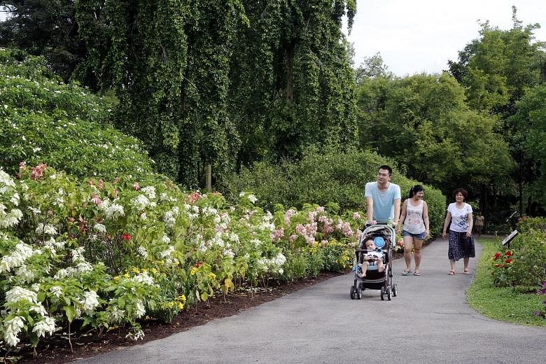 The Heritage Garden, which opened yesterday, is situated on the lawn above Swan Lake at the Singapore Botanic Gardens. Visitors to the garden can learn about the country's greening journey that began in the 1960s.