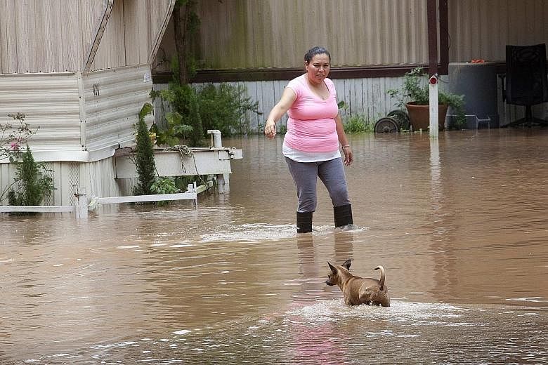 Resident Alejandra Ventura and her dog wading through high water that flooded a mobile home park in Richmond, Texas, after the Brazos River overflowed its banks on Tuesday. Precipitation is expected to intensify over the weekend as moisture from trop