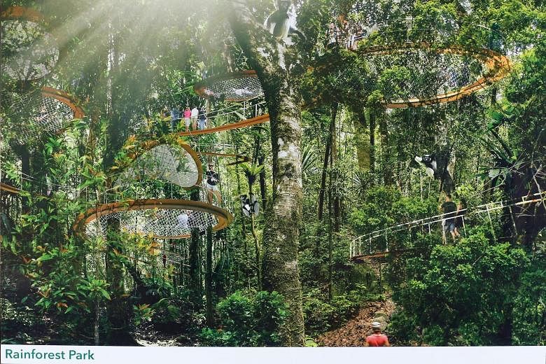 An artist's impression of the Rainforest Park, where visitors will be able to stroll along aerial walkways. Mandai Safari Park Holdings is exploring a "range of options" with the authorities to improve accessibility to the Mandai nature precinct.