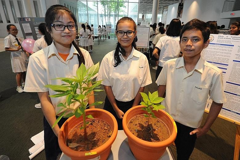 (From left) Renea Chua, Siti Nurzulaikha Selamat and Muhammad Imran found that plants grow better when watered with traditional Chinese medicine infusions, one of the projects presented at the 13th Scientific Thinking Programme.