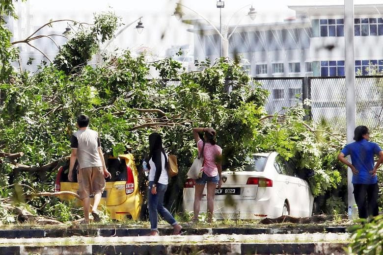 Kuala Lumpur City Hall received many reports of fallen trees in the wake of the heavy rain and hailstorm.