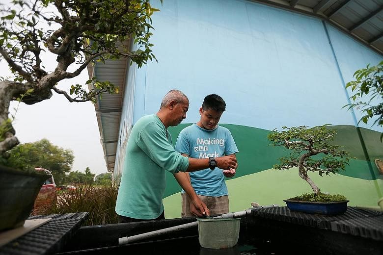 Pastor Andrew Choo (far left) talking Josiah Kiang through a mood swing at the Onesimus Garden farm. Mr Kiang, who has autism, had become sulky about being photographed. Pastor Choo uses farming as a form of therapy to help young people with special 