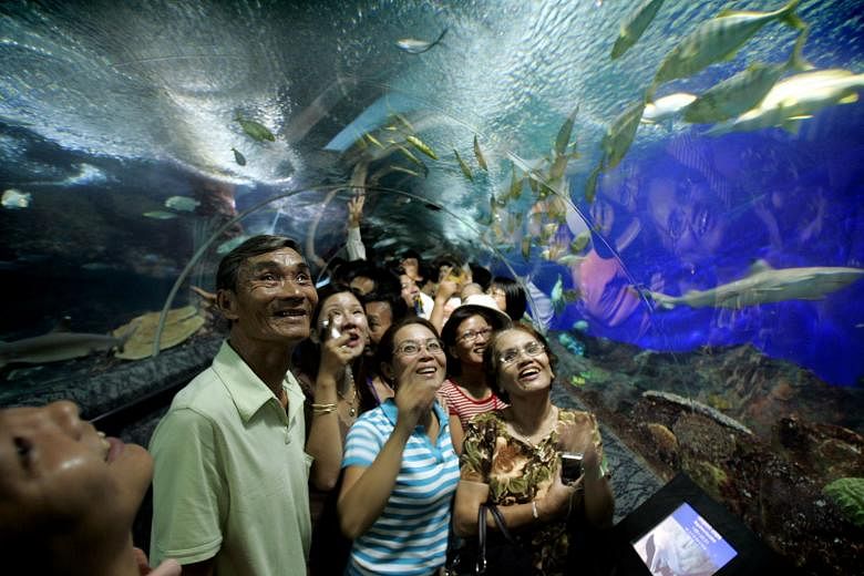 The lease for Underwater World's premises expires in less than two years and the early closure will facilitate the transfer of animals to new homes. The attraction has 2,500 marine creatures across 250 species.