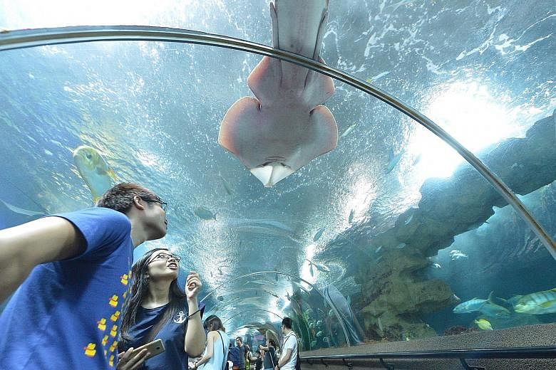 Admission prices for Underwater World Singapore were cut to 1991 prices - from $29.90 to $9 for adults and from $20.60 to $5 for children. The aquarium will close on June 26.
