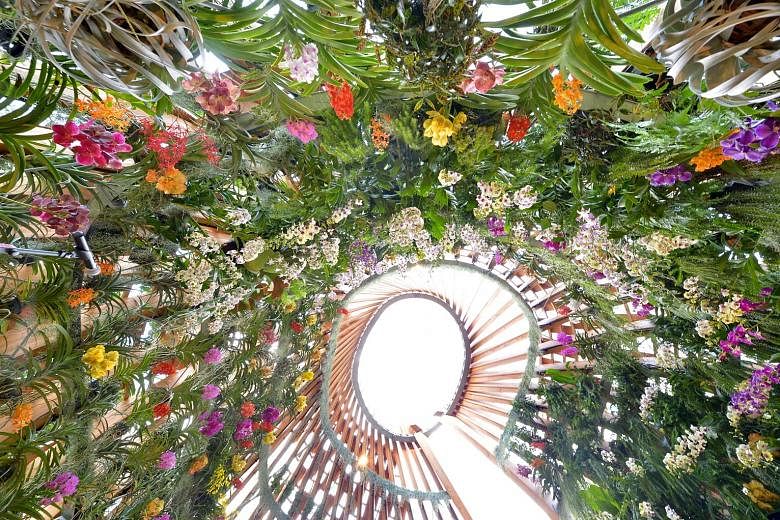The 7m-tall open-air greenhouse, called The Orchid, is created using three- dimensional beams, curving upwards towards the sky, surrounded by orchid beds in the shape of petals.