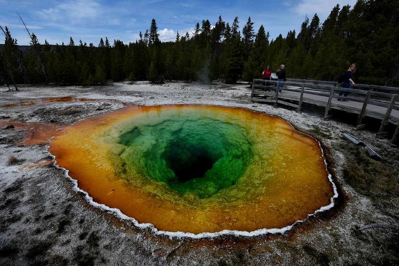 Visitor at Yellowstone National Park dies after falling into acidic hot  spring | The Straits Times