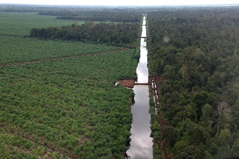 Canal blocking on concession land belonging to an APP supplier in the Kerumutan province, Riau. Canal blocking prevents peatland from drying out and igniting. Indonesia's Peatland Restoration Agency says it is still waiting for the paper giant to sub