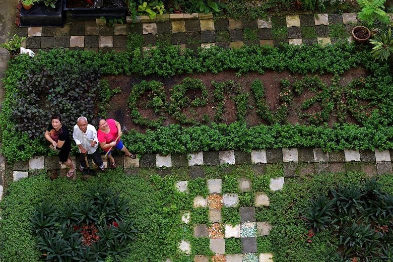 Amid the hustle and bustle of urban living, a love for gardening has brought residents of Tampines Greenvale together to cultivate a community garden they can be proud of - it has won a top accolade at a biennial garden competition. 	The garden was o