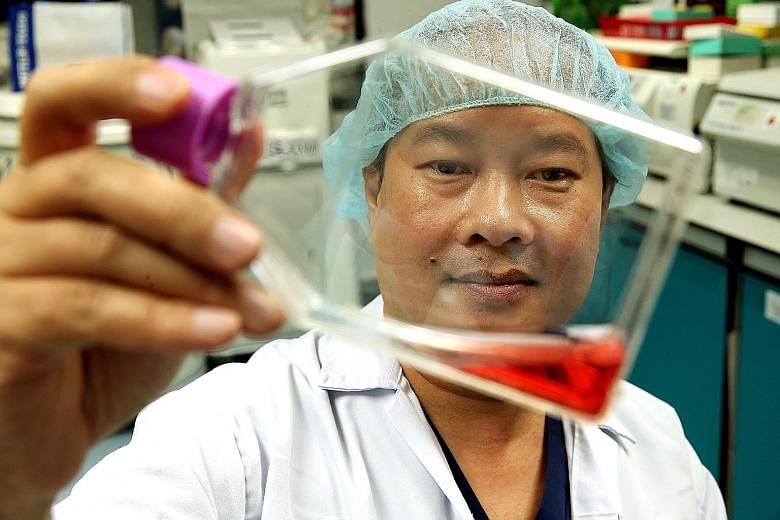 Dr Phan holding his proprietary mixture of proteins and sugars that keeps umbilical cord tissue alive. He discovered the use of stem cells in umbilical cord lining in making cells for the skin, cornea, bone and other body parts.